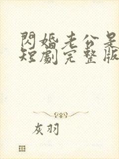 闪婚老公是总裁短剧完整版免费看