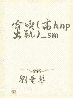 偷吃(高hnp出轨)_sm