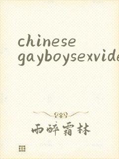 chinesegayboysexvideo封面