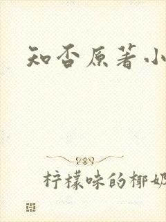 知否原著小说