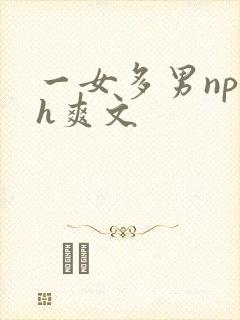 一女多男np巨h爽文