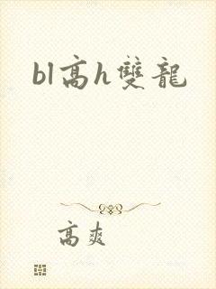bl高h双龙