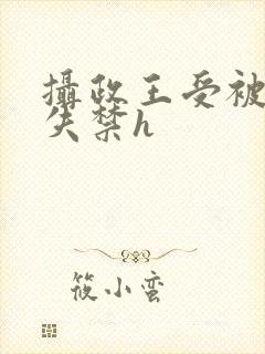 摄政王受被肉到失禁h封面