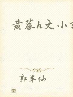 黄蓉h文小说