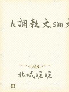 h调教文sm文封面