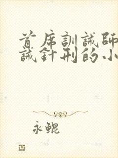 首席训诫师被训诫针刑的小说