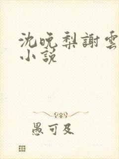 沈晚梨谢云迟的小说