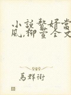 小说赘婿当道岳风,柳萱全文免费阅读