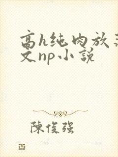 高h纯肉放荡h文np小说封面