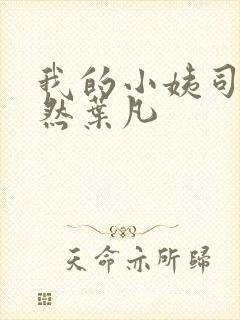 我的小姨司空嫣然叶凡