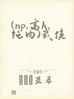 (np,高h,纯肉)武侠