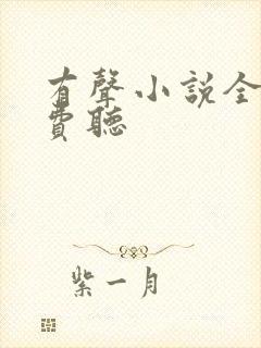 有声小说全网免费听