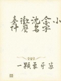 秦彻沈念小说叫什么名字