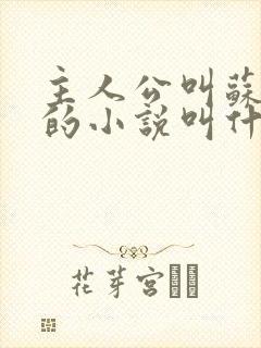 主人公叫苏沐阳的小说叫什么的