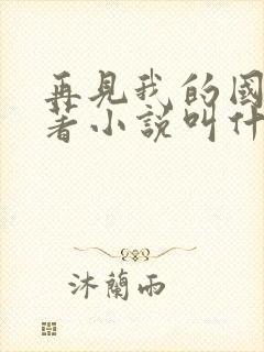 再见我的国王原著小说叫什么名字封面