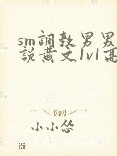 sm调教男男小说黄文1v1高h强制