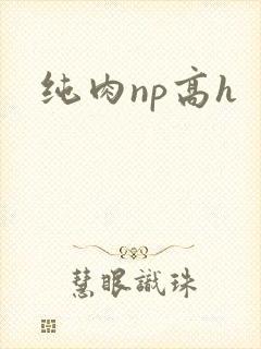 纯肉np高h