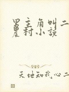男主角叫二狗的农村小说封面