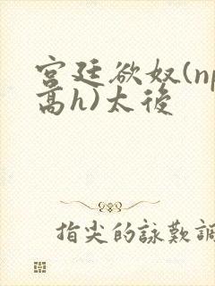宫廷欲奴(np高h)太后封面