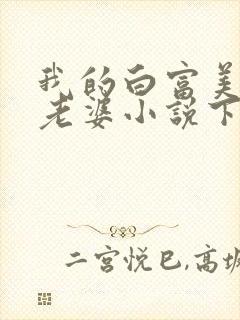 我的白富美总裁老婆小说下载