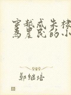 穿越成朱棣被贬为农民的小说