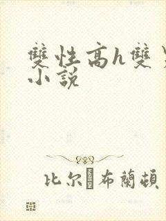 双性高h双男主小说
