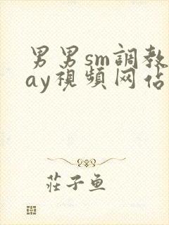 男男sm调教gay视频网站