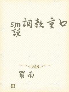 sm调教重口小说