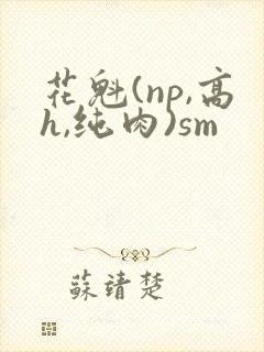 花魁(np,高h,纯肉)sm