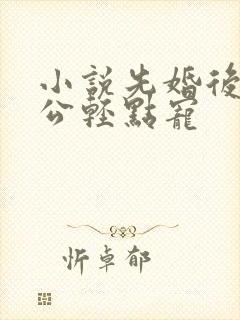 小说先婚后爱老公轻点宠