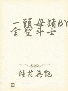 一头母猪BY黄金圣斗士封面