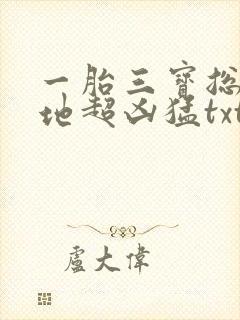 一胎三宝总裁爹地超凶猛txt