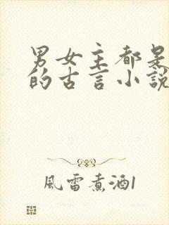 男女主都是将军的古言小说