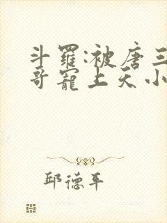 斗罗:被唐三哥哥宠上天小说