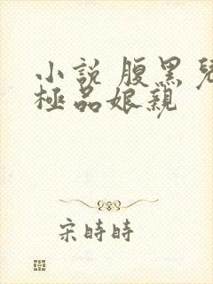 小说 腹黑儿子极品娘亲