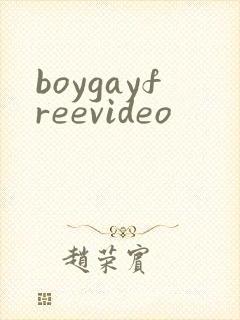 boygayfreevideo