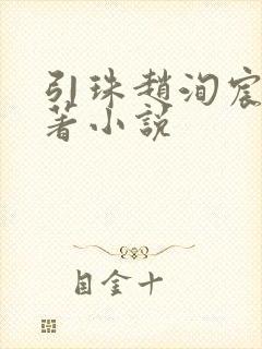 引珠赵洵宸妃原著小说封面