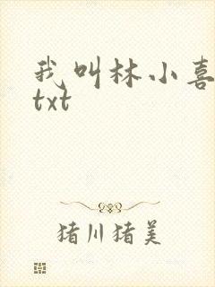 我叫林小喜小说txt