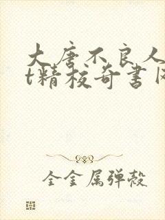 大唐不良人txt精校奇书网