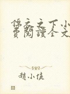 锦衣之下小说免费阅读全文无删减