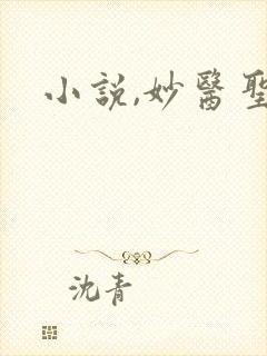 小说,妙医圣手