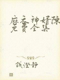 麻衣神婿陈黄皮免费全集