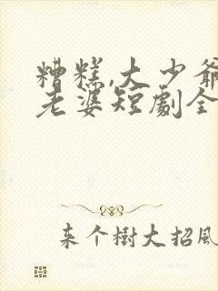 糟糕,大少爷怕老婆短剧全集播放