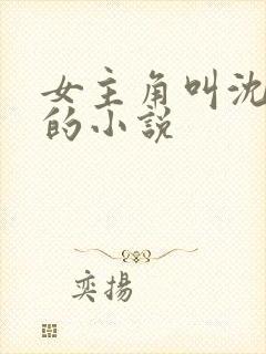 女主角叫沈知意的小说封面