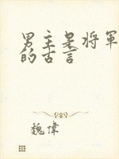 男主是将军很虐的古言
