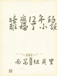暗恋12年的他离婚了小说免费阅读