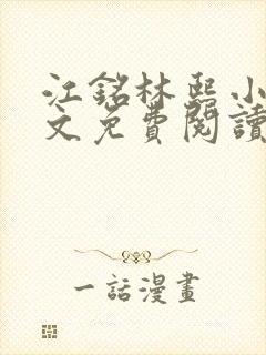 江铭林熙小说全文免费阅读
