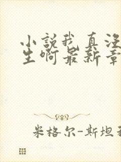 小说我真没想重生啊最新章节列表