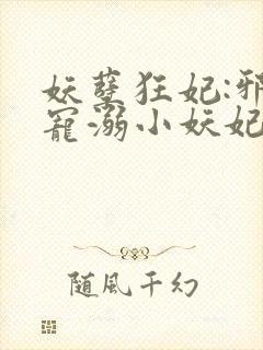 妖孽狂妃:邪君宠溺小妖妃