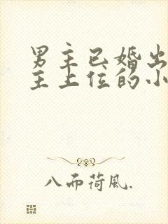 男主已婚出轨女主上位的小说